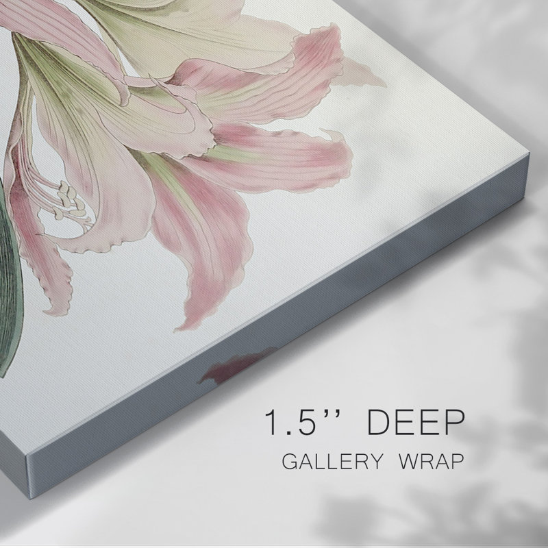 Toile tendue Amaryllis Varietals I-Gallery, H 12 po x l 18 po