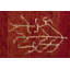 Tapis rouge Maddison-Lee