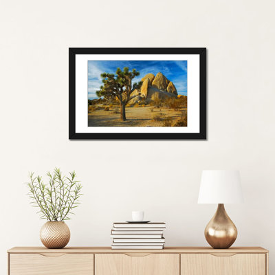 «Joshua Tree & Inselberg», reproduction de photo sur toile
