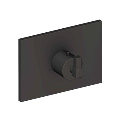 Malvina 3/4" Square Thermostatic Trim Plate With Handle