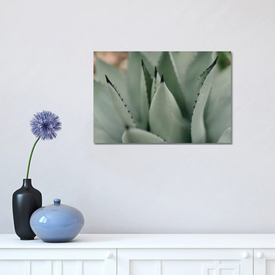 Mint Succulent II 1 Piece Wrapped Canvas Wall Art