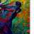 Kucera 'Echo Elk' Print on Wrapped Canvas-22067181