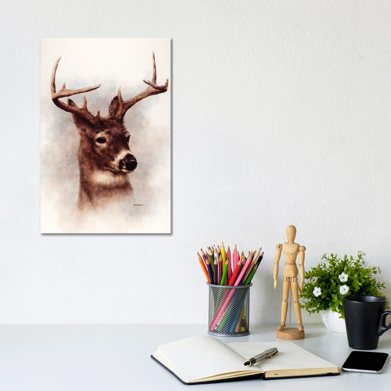 Whitetail Portrait - Wrapped Canvas Print, 20.32 cm H x 30.48 cm W