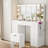 Greyden Vanity With 11 Drawers & Lighting Bulbs, Storage Stool & 10X Magnifying Mirror-1265963412