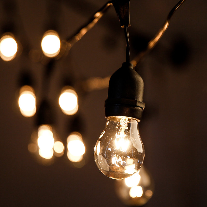 Outdoor 50 - Bulb 100'' Plug-in String Light