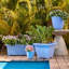 Jardinière intérieure / extérieure en plastique recyclé Dayton avec soucoupe attachée-1208387132-1215370448
