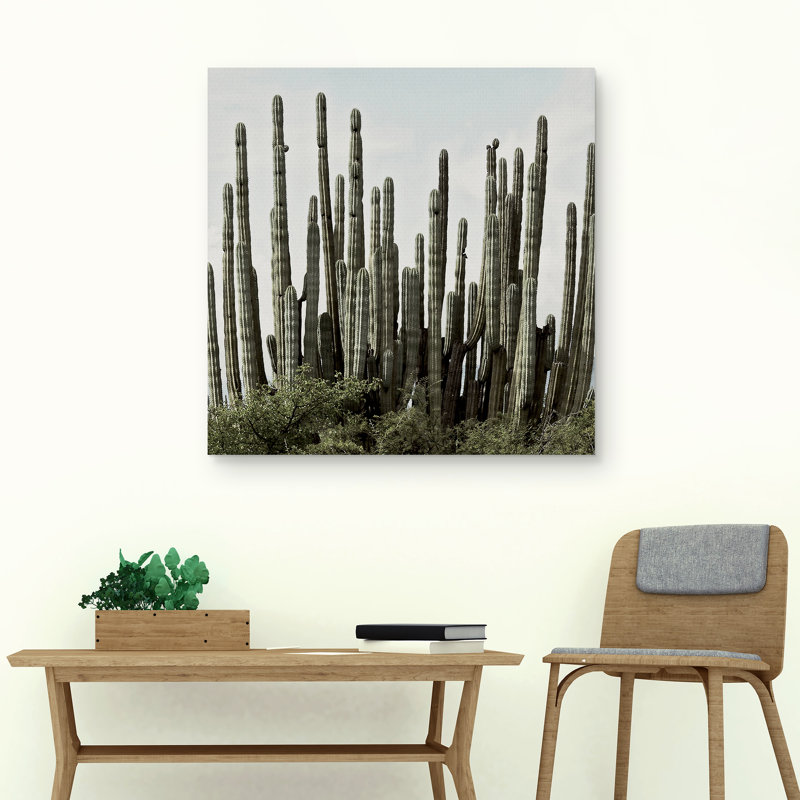 " Desert Skyline "