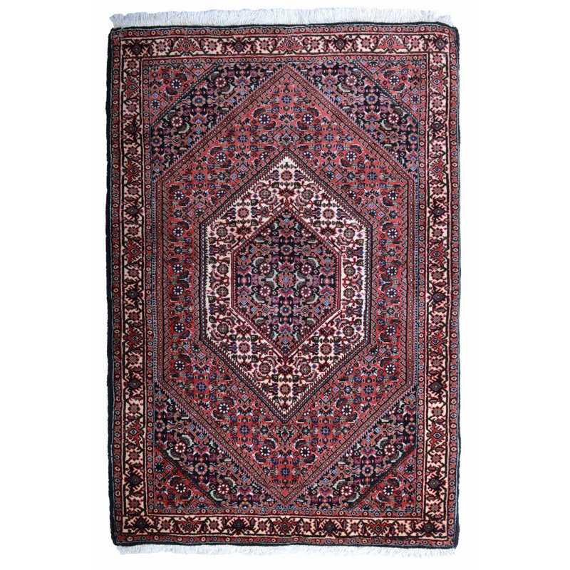 Carl Oriental Hand Woven 77cm X 110cm Area Rug