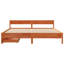 Storage Bed-1886875267-1886875265