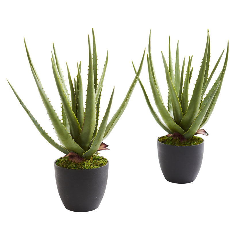 18'' Faux Aloe Succulent in Planter