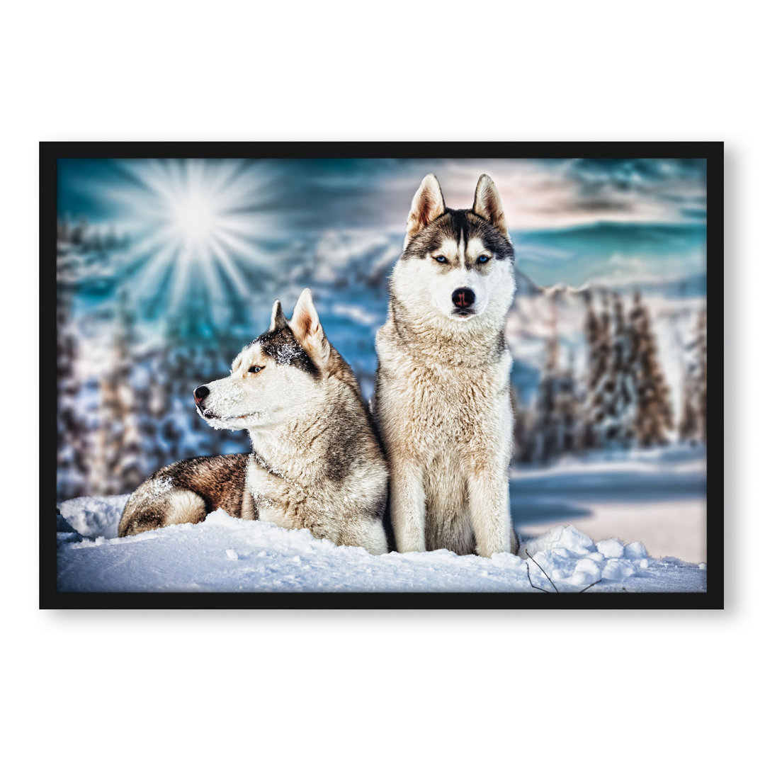 Gerahmter Fotodruck Zwei Wilde Huskies