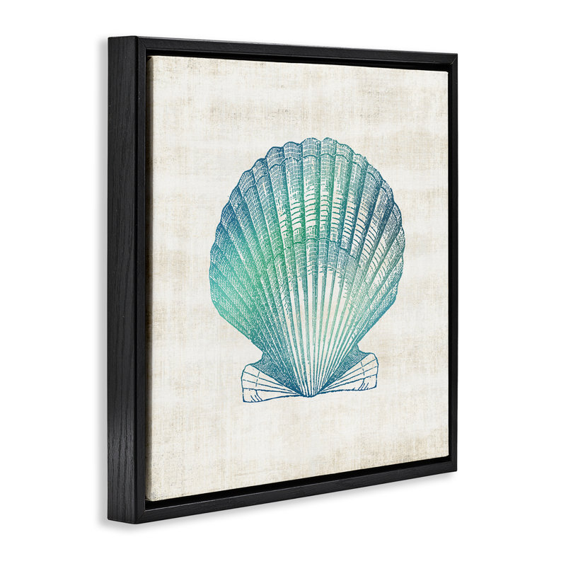 Gradient Clam Seashell Floating Frame, design by Susan Arnot, Jet Black Floater Frame, 18" H x 18" W