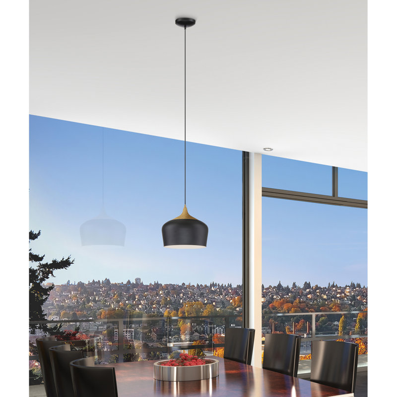 Luminaire suspendu en forme de dôme à 1 lumière Gagne 1, Noir, Non