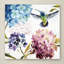 «Spring Nectar Square III» par Lisa Audit - reproduction d'art sur toile-497593884