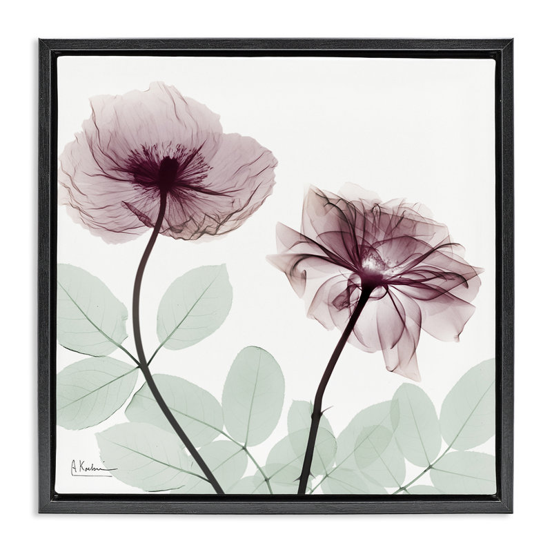 Cadre flottant délicat à motif floral par Albert Koetsier, Cadre flottant noir de jais, H 18 po x l 18 po