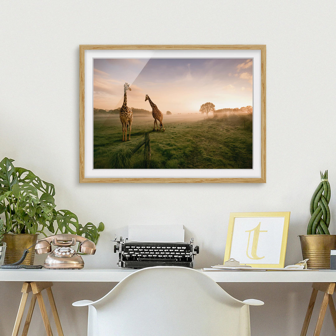 Gerahmter Fotodruck Surreal Giraffes