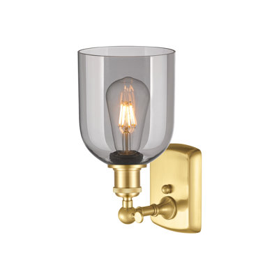 Anacaren Steel Armed Sconce