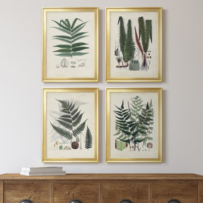" Collected Ferns IX " 4 - Pieces Painting Print