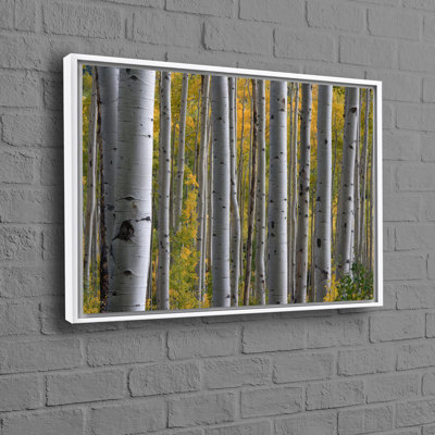 Print on Canvas