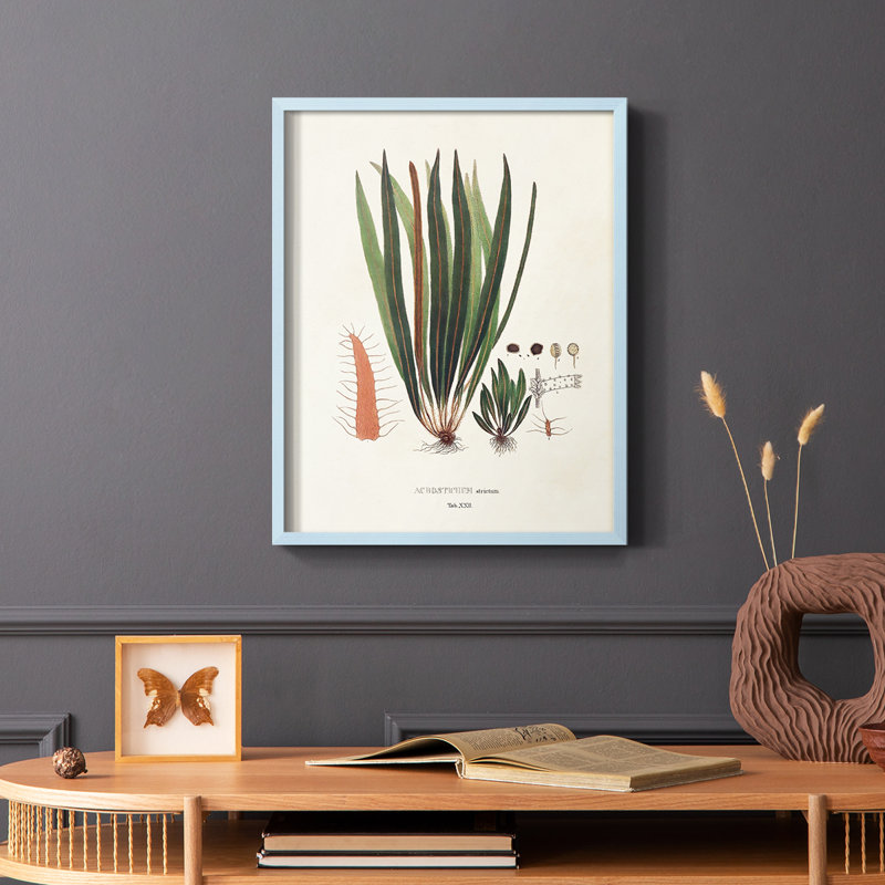 «Botanical Society Ferns V», reproduction encadrée - bois massif, H 10 po x l 8 po, Bleu
