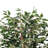 Artificial Variegated Ficus Series-137242058