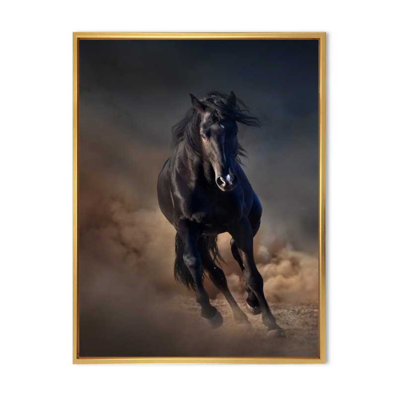Portrait d'un cheval étalon Purius I - impression maison de campagne, H 32 po x l 24 po x P 1 po, Cadre flottant doré