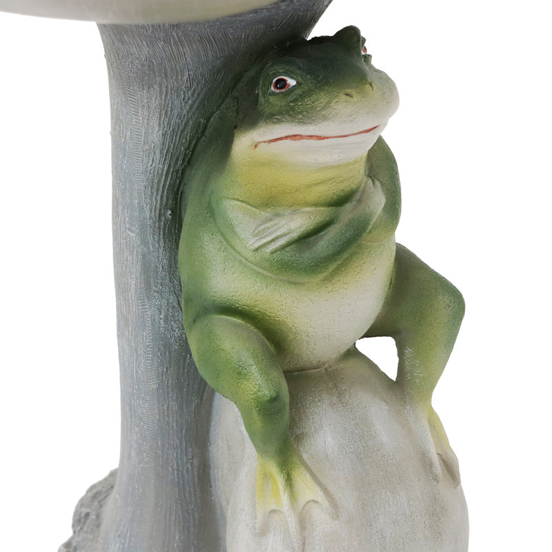 Bain d'oiseaux de jardin en polyrésine Koa avec une grenouille couveuse sur une pierre