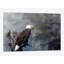 «Freedom Haze», impression sur toile-28960531-74596976-74596970