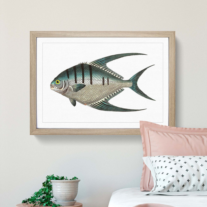 Glaucous Butterflyfish by George Shaw - Framed Print, Oak Framed, 27cm H x 36cm W x 2cm D