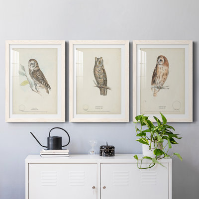 " Little Owl " 3 - Pieces Painting Print
