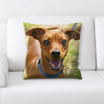 Microsuede Throw Pillow