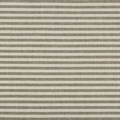 Terra Firma II Rayas Stripe Fabric