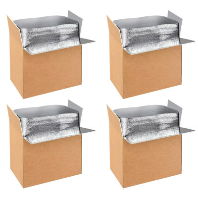  4 Pack 19 Inch x12 Inch x16 Inch Insulated Shipping Boxes with Aluminum Foil Liner,Thermal Insulation Cold Pack Shipping Boxes for Frozen , Reusable Styrofoam Cooler Box, Small Mailing Box