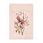 Magnolia Blush No1-1244009271