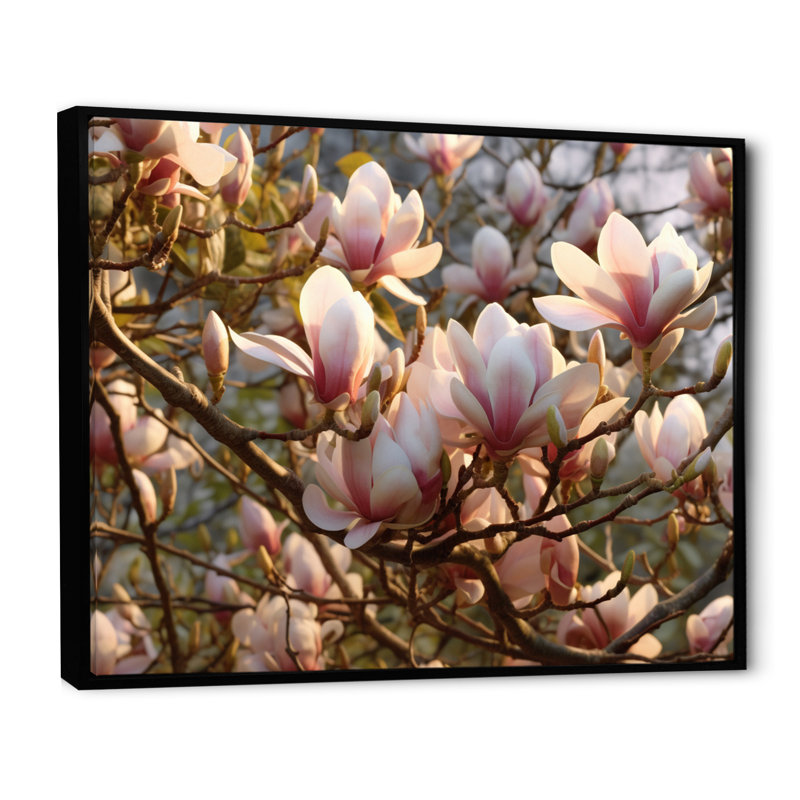 «White Pink Magnolias Landscape VI», reproduction sur toile, H 24 po x l 32 po x P 1 po, Toile noire