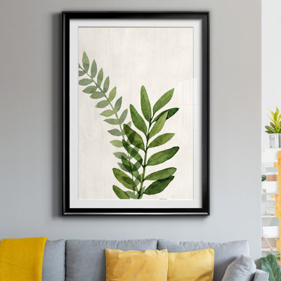 " Botanical Wash II "