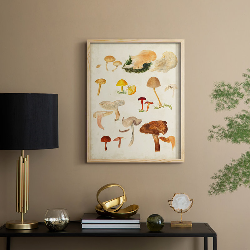 Reproduction encadrée de champignon Mushroom Species, H 21 po x l 17 po