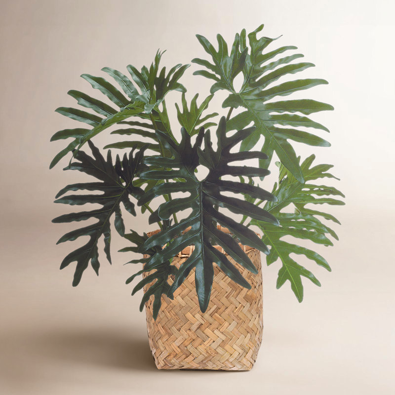 West Palm Faux Philodendron Plant in Cement/Bamboo Planter