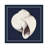 Coastal Shell I With Border Navy-2048278059