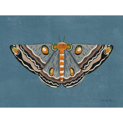 Textured Moth I