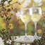 LAV Glass White Wine Glass Stemware-94225480