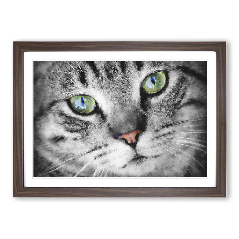Portrait of a Cat Vol.2 - Framed Print, 48cm H x 65cm W x 2cm D, Walnut Framed