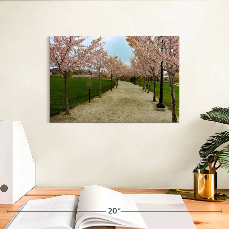 Sentier Harnek Cherry Blossoms, H 8 po x l 12 po