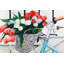 Vélo avec tulipes dans un panier - Reproduction encadrée pour la décoration-855364573