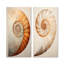 Cuivre cuivré spirales Nautilus - ensemble de 2 décorations murales en métal Nautilus-125547588