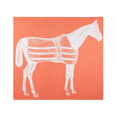 Jeté Thoroughbred