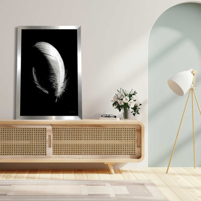 Dream Feathers - Photographie d'un seul cadre