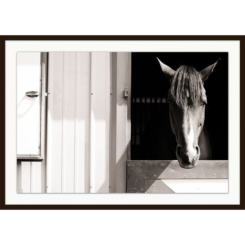 Happy Horse Print by Lillian August