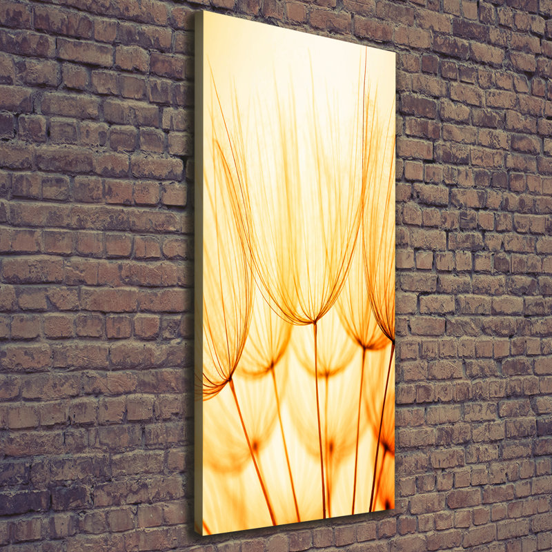 Dandelion Seeds - Wrapped Canvas Print
