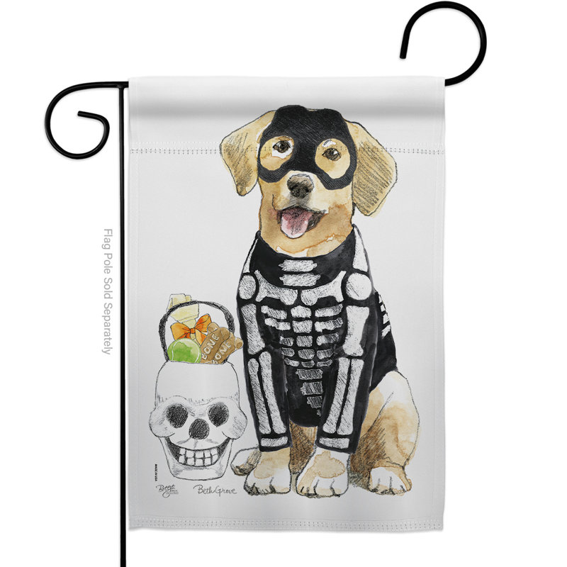 Squelette de laboratoire spooky en polyester à 2 faces 19 x 13 po drapeau de jardin